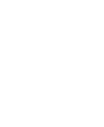 Light Logo