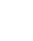 Light Logo